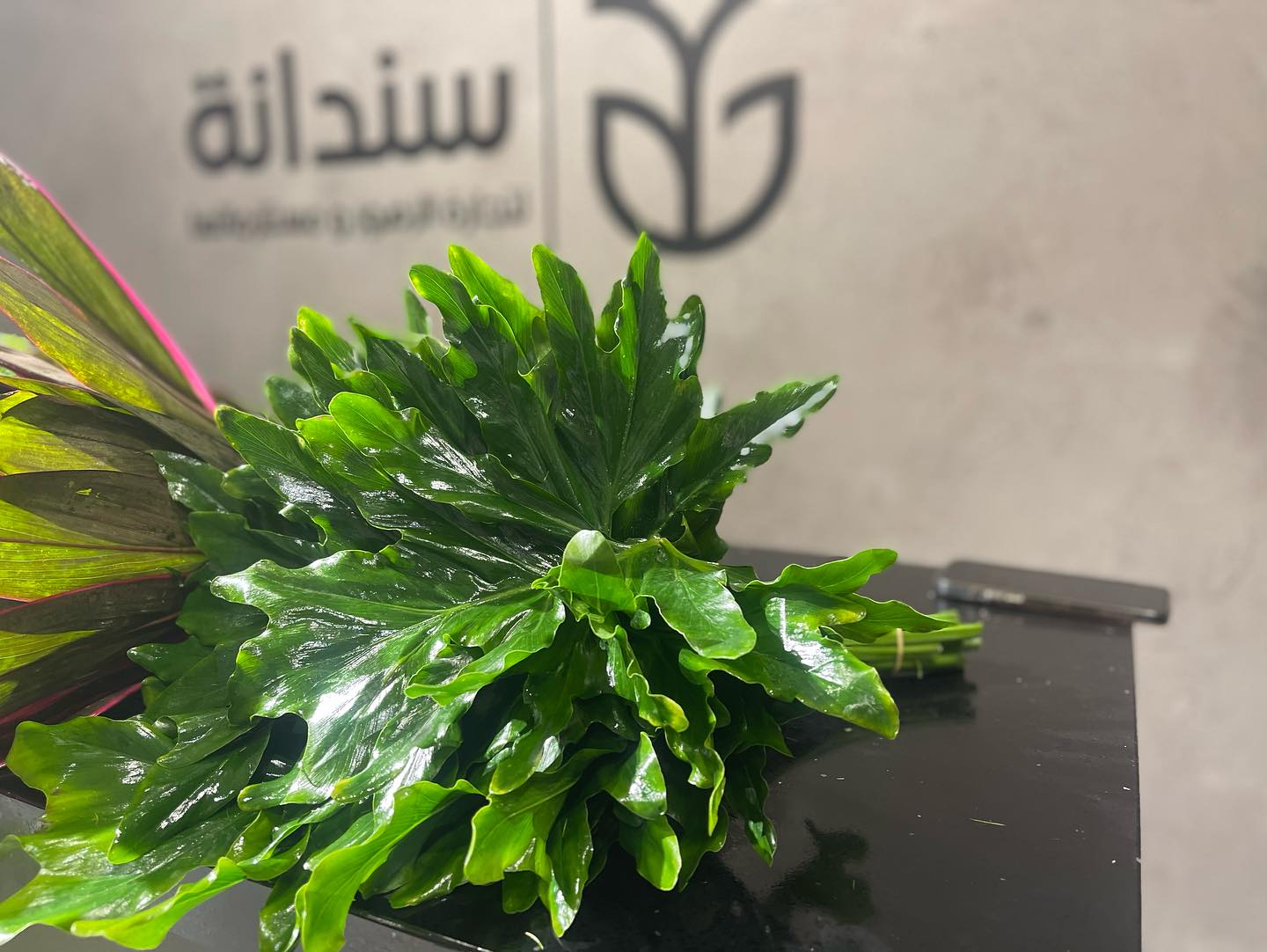 باقة عيد ميلاد 1