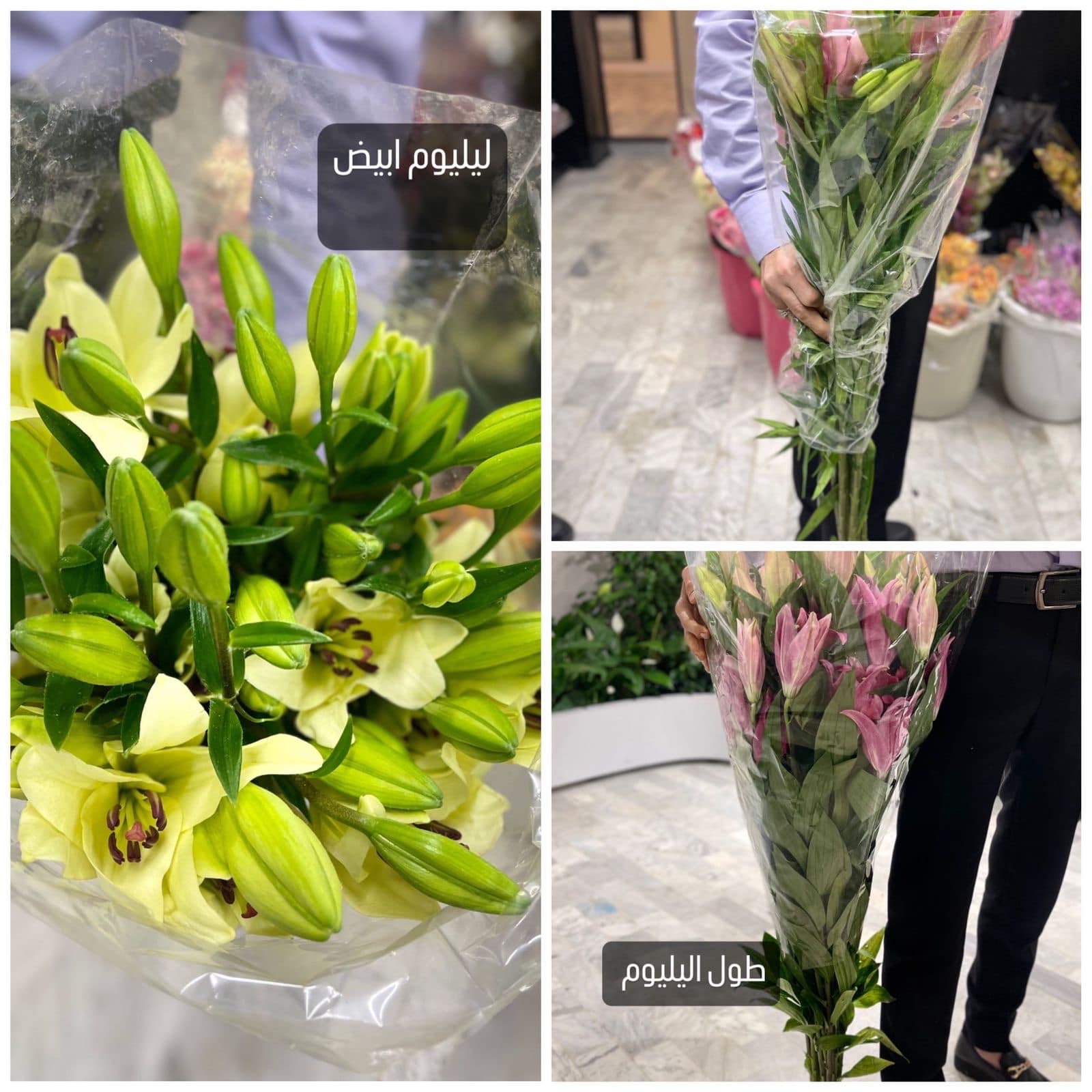 باقة عيد ميلاد 4