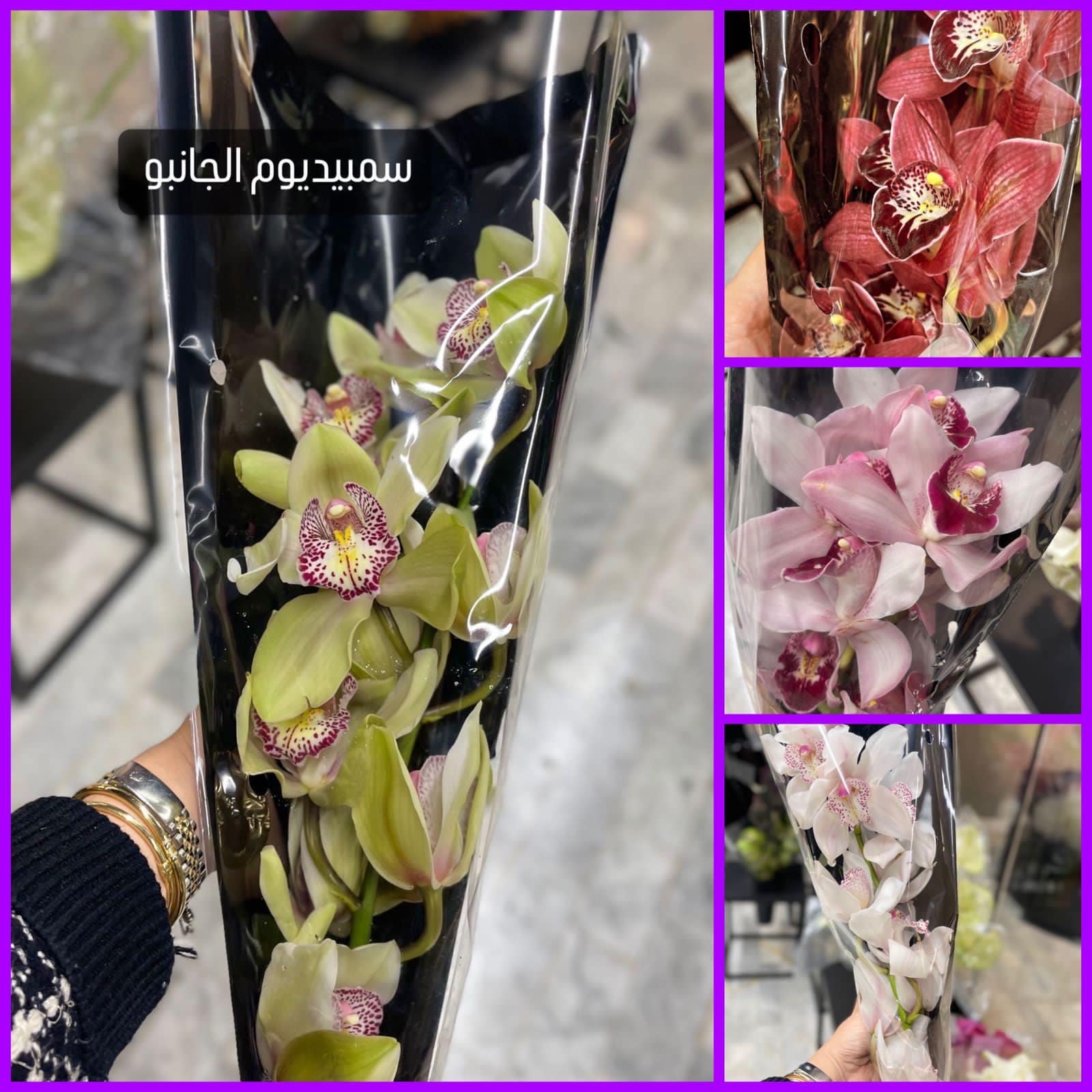 باقة شفاء عاجل 3