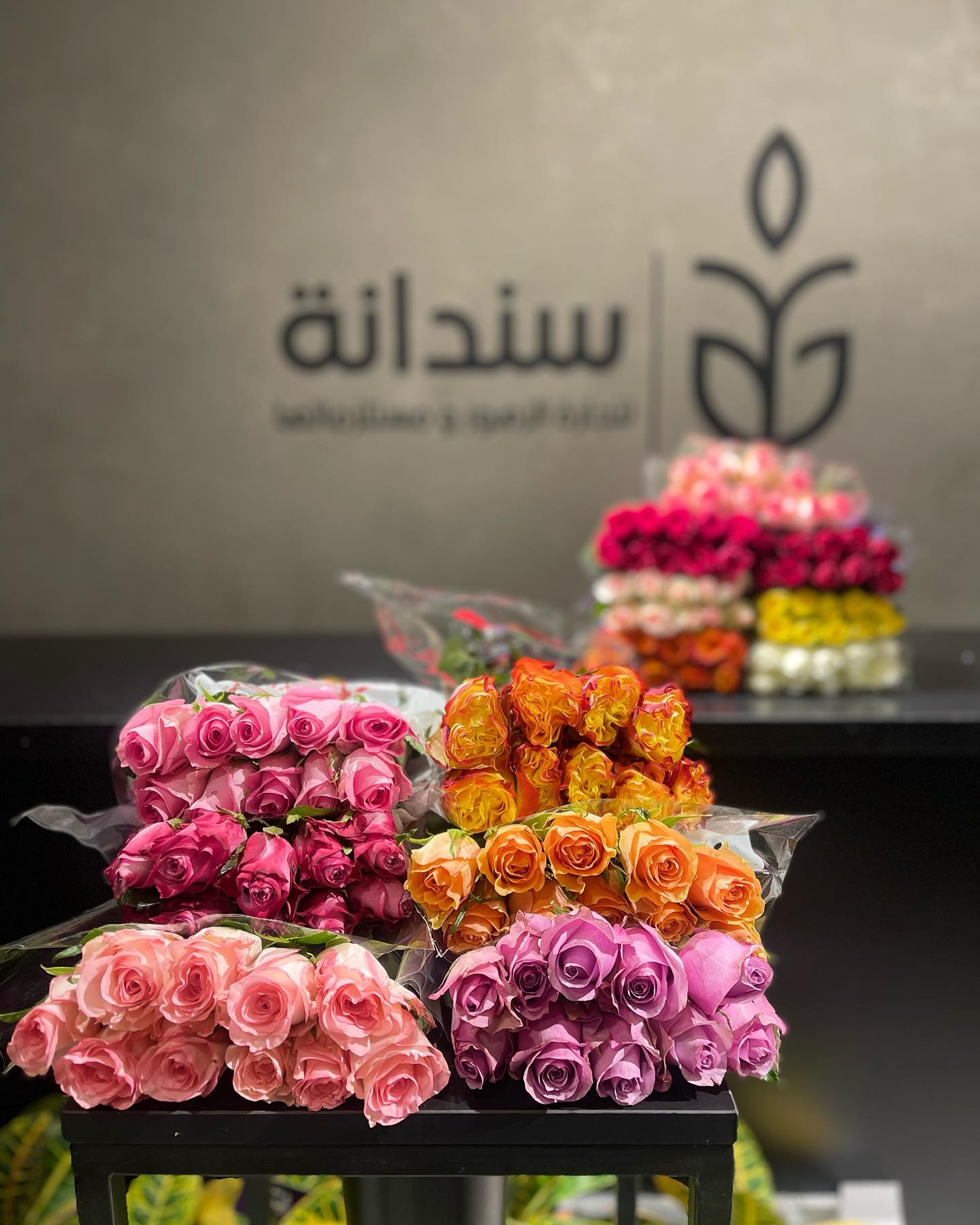 تنسيق منزل ومكتب 2