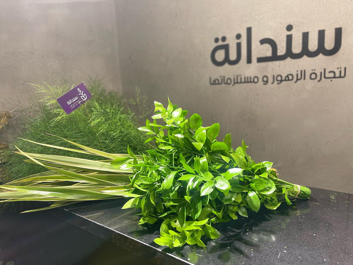 باقة اعتذار 1