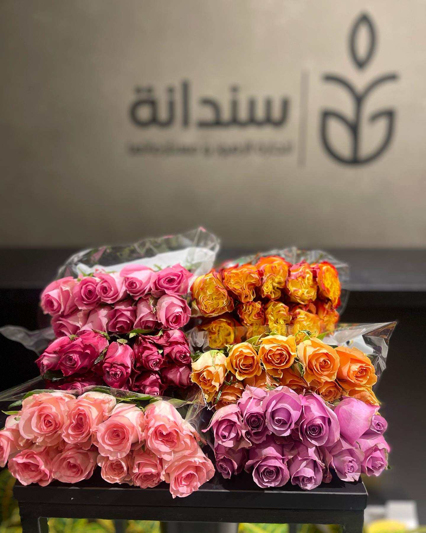 باقة بدون مناسبة 2