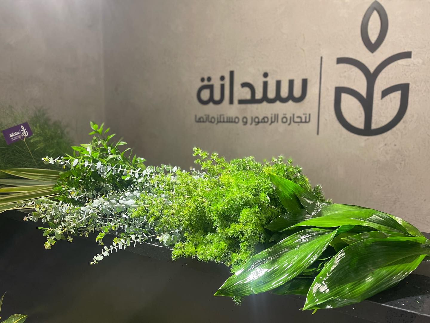 باقة وصلات جديدة 2