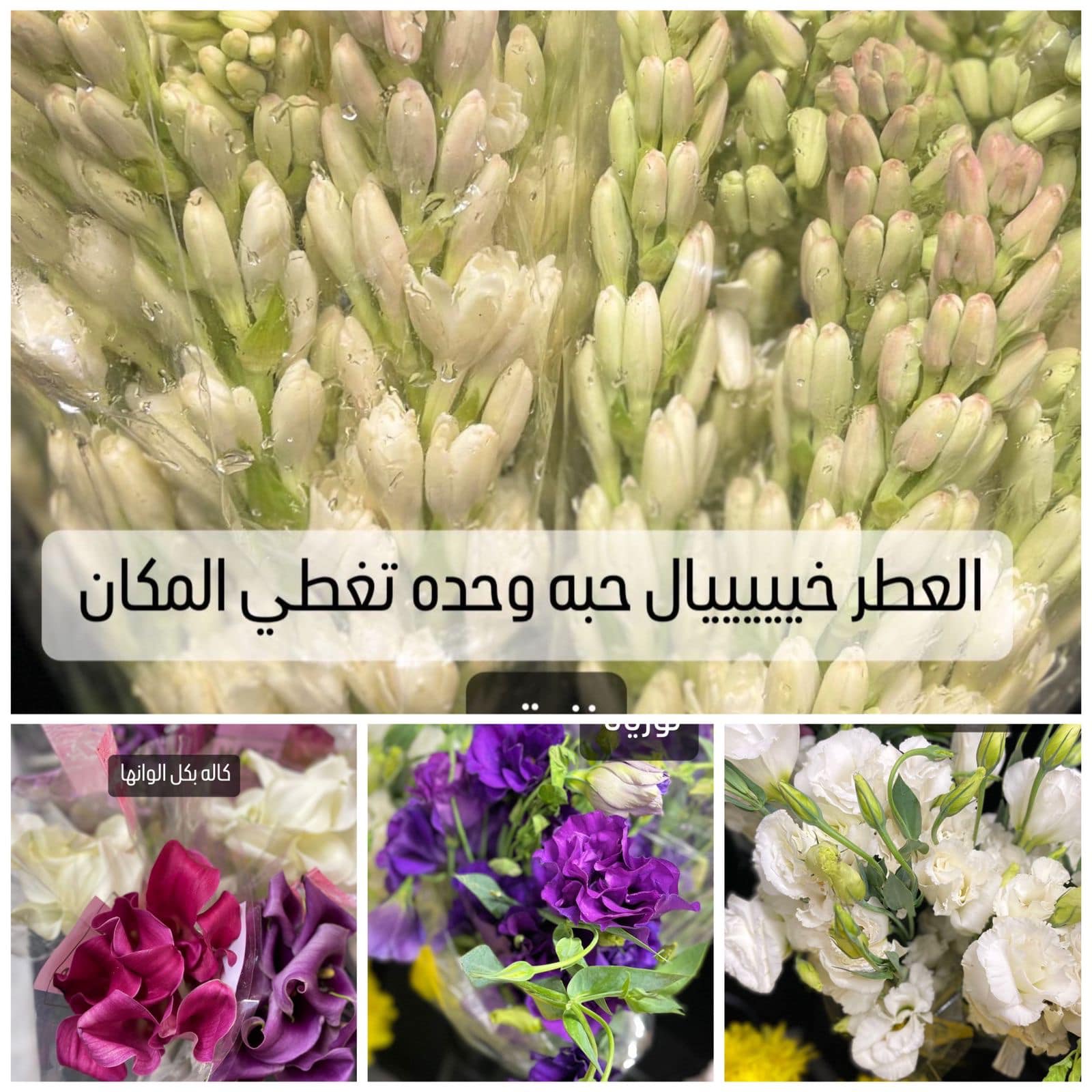 باقة وصلات جديدة 4