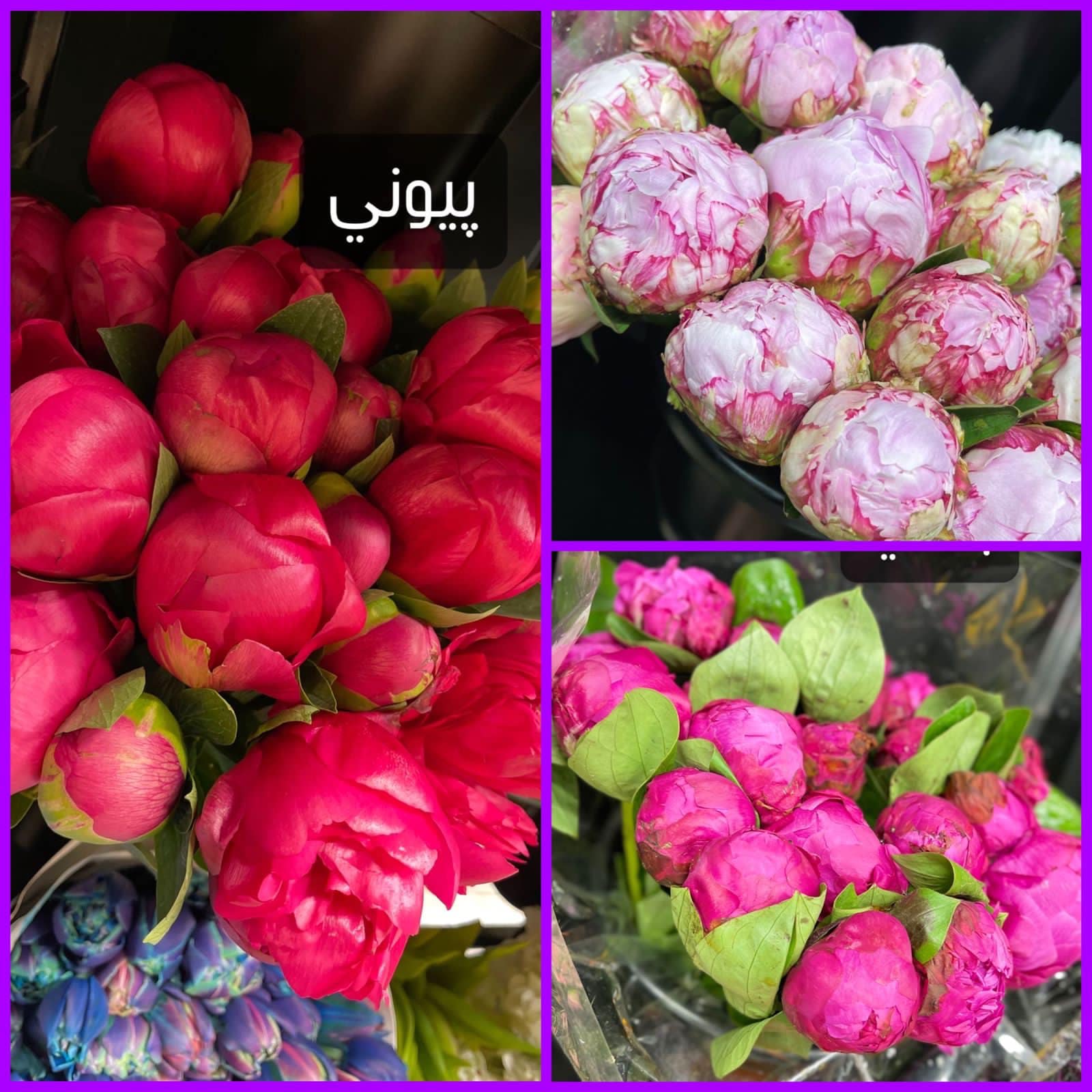 باقة تعزية 3