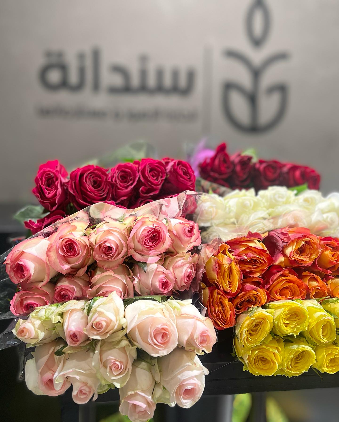 باقة شكر 1
