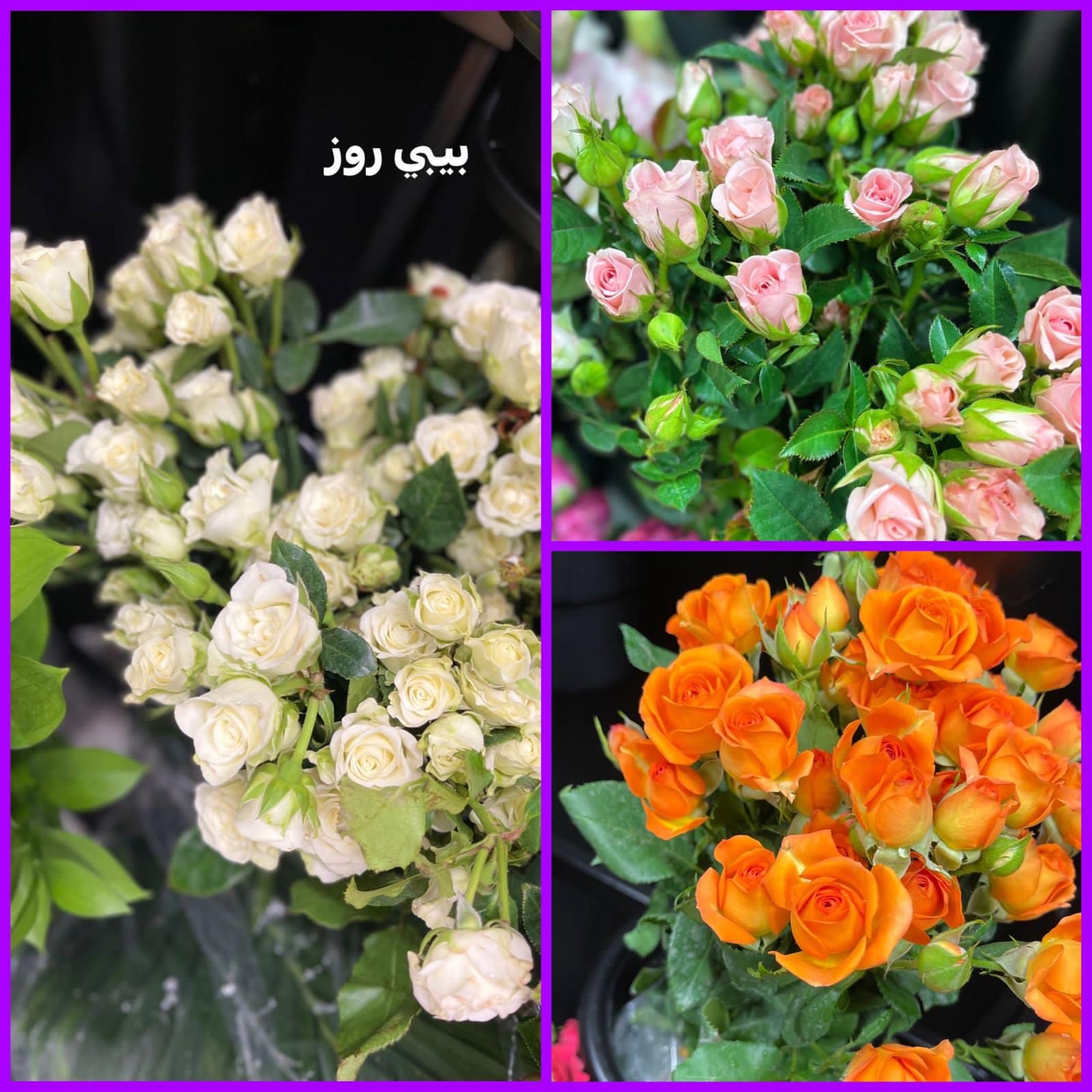 باقة شكر 3
